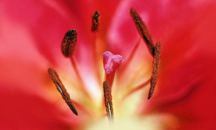 Meditation respiration 2